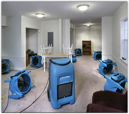 Drying & Dehumidification in Cortez, FL