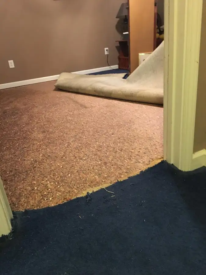 Carpet pad removal revealing water damage during Drying & Dehumidification in Cortez