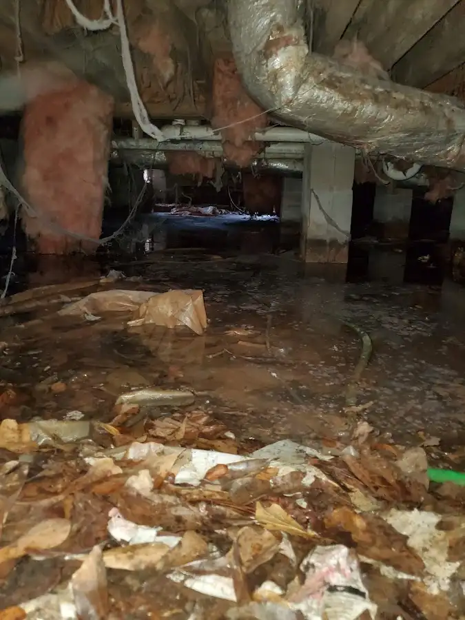 Crawl space flood assessment for Leak Detection & Repair in Cortez